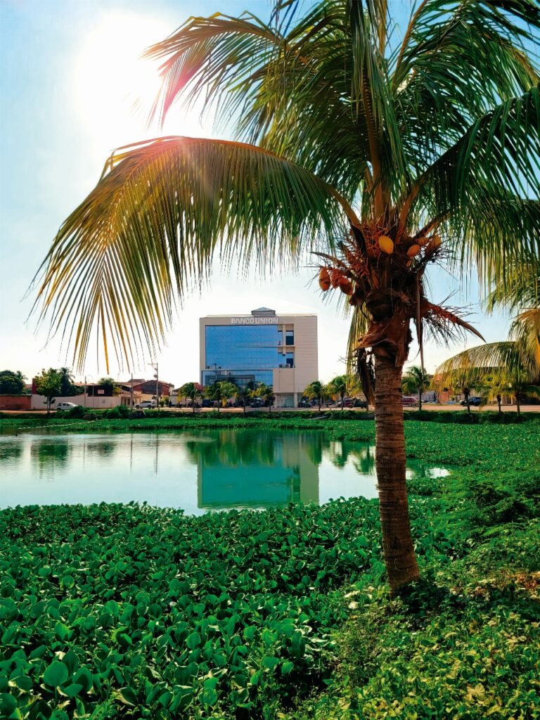 BANCO UNIÓN