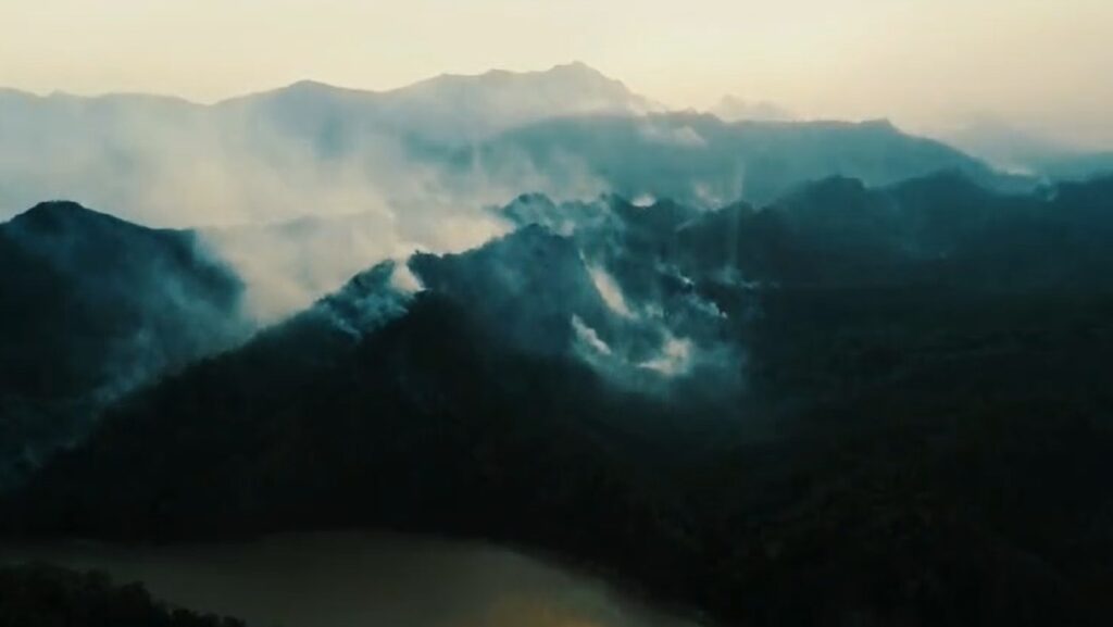INCENDIOS