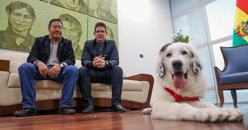 Maduro obsequia al presidente Arce un perro mucuchíes