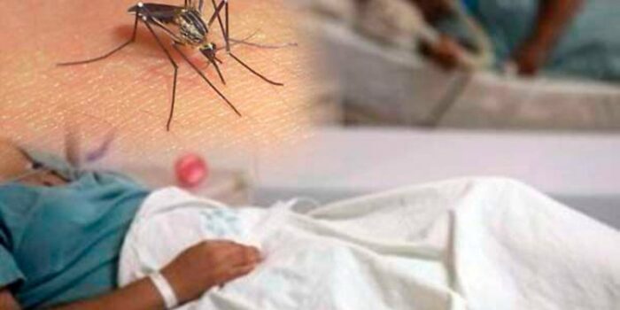 Cochabamba tiene dos pacientes críticos y uno en recuperación a causa del dengue