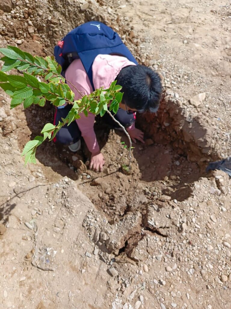 PLANTACIÓN