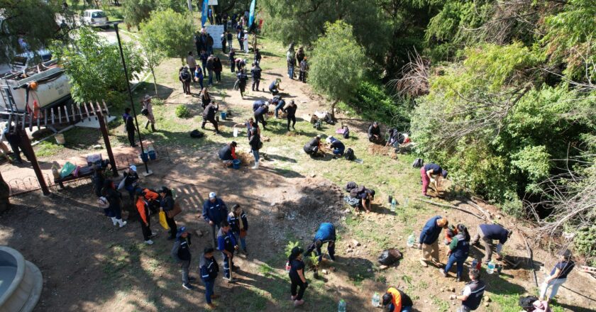 Plan Nacional: Fiscalía de Cochabamba impulsó la forestación de más de cinco mil plantines en el cerro San Pedro y el río Rocha