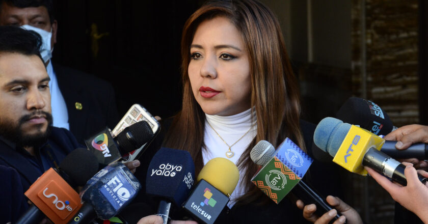 Viceministra Alcón garantiza promulgación inmediata de la ley para elecciones judiciales