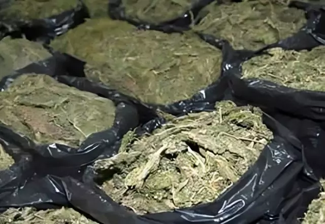 MARIHUANA