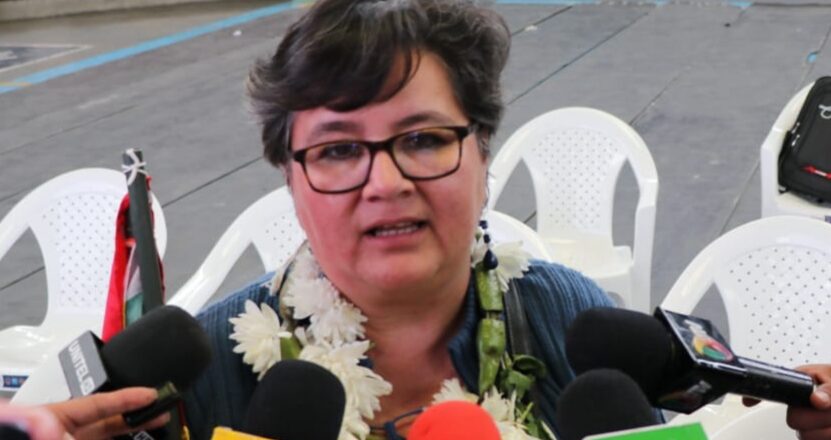 Navia: Los trabajadores podrán denunciar si son obligados a trabajar el día del Censo