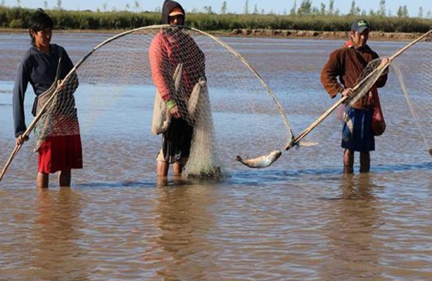 Se inicia la temporada de pesca en el río Pilcomayo que mueve a unas 8.000 familias