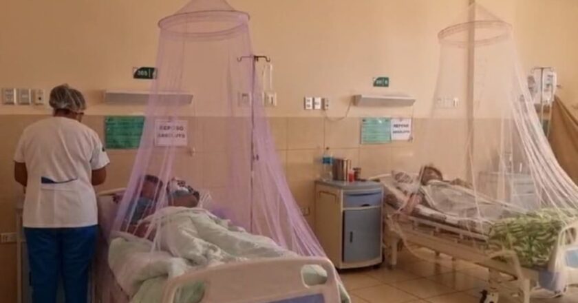 El dengue asedia Cochabamba: de enero a hoy, más de 4 mil enfermaron por el mosquito Aedes aegypti