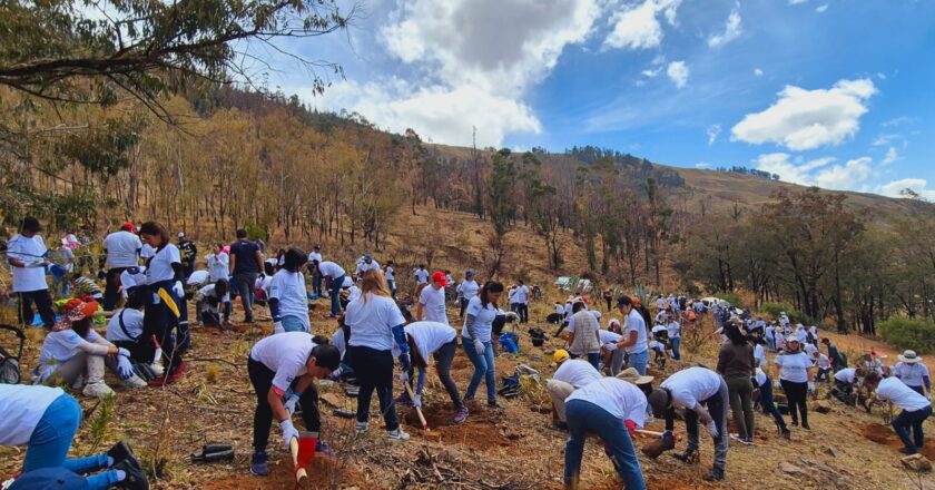 Banco Unión realiza actividades de reforestación en el Parque Tunari de Cochabamba