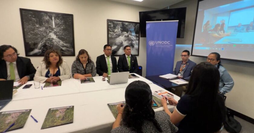 Fiscales de Santa Cruz, La Paz y Cochabamba amplían conocimientos en delitos de medio ambiente, Normativa Nacional e Internacional