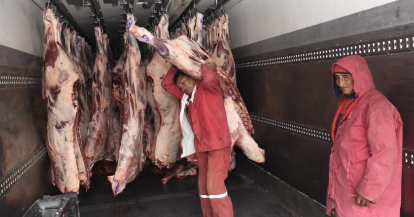 Emapa distribuye 60 reses por día a Bs 34 el kilo gancho para mercados de La Paz y El Alto