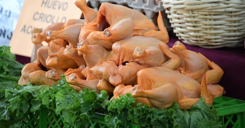 Gobierno negocia la exportación de carne, cueros y fibra de algodón a China en busca de nuevos mercados