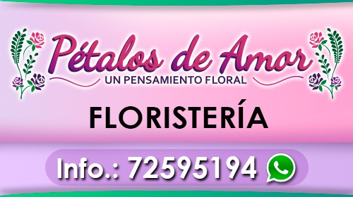 PÉTALOS DE AMOR FLORERÍA