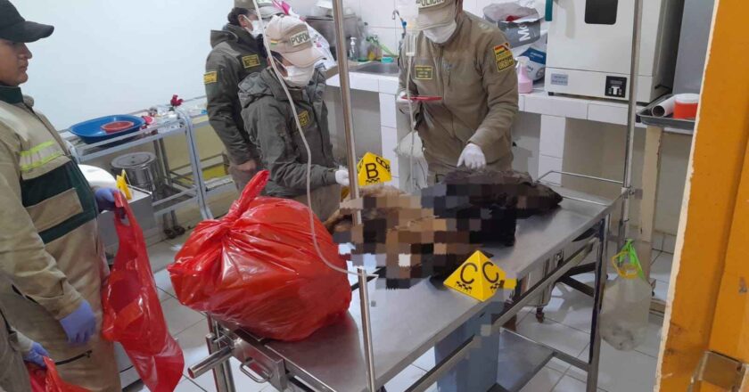 Fiscalía investiga la muerte de cinco canes en el Centro Municipal de Zoonosis de Oruro