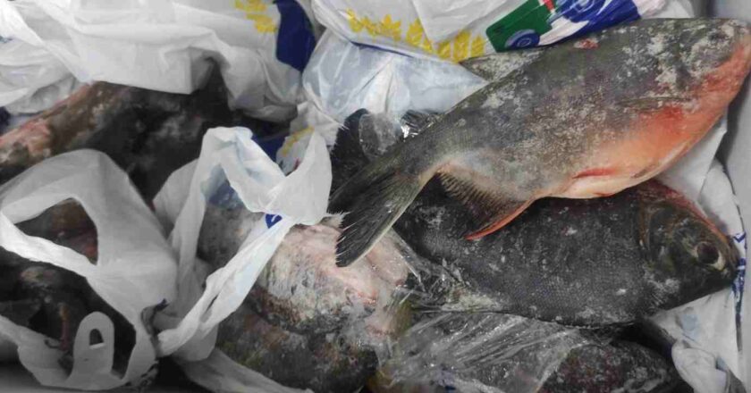 EMAPA promueve el consumo de pescado fresco y nutritivo en Semana Santa