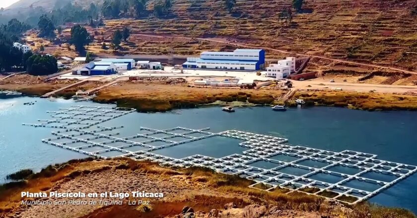Emapa lanza convocatorias para construcción, equipamiento e instalación de industrias en La Paz, Tarija y Chuquisaca