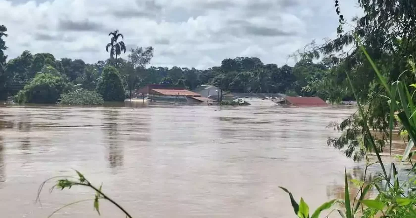Lluvias en Bolivia: Se eleva a 55 la cifra de fallecidos y más de 1.000 viviendas quedaron destruidas