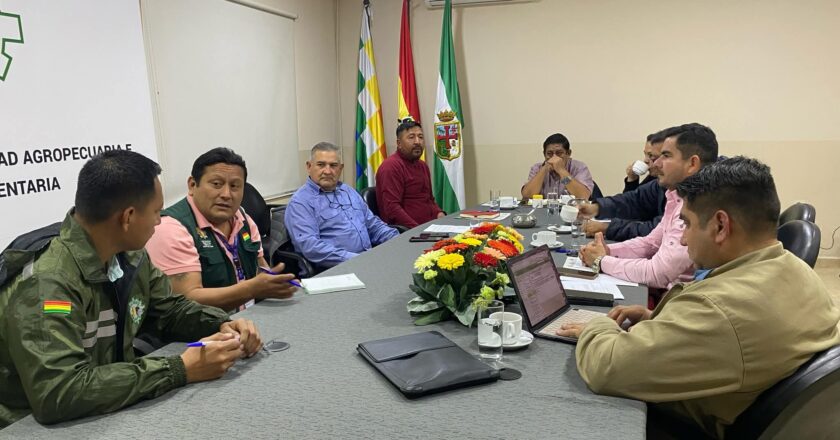 Bolivia inicia gestiones para exportar charque de llama a Estados Unidos