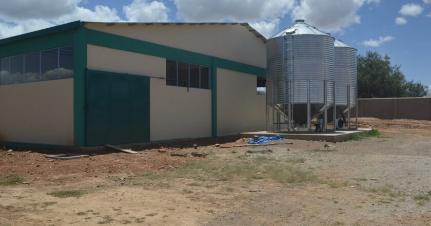 Toco se prepara para producir tallarín de maíz con planta industrial que será entregada en 2026