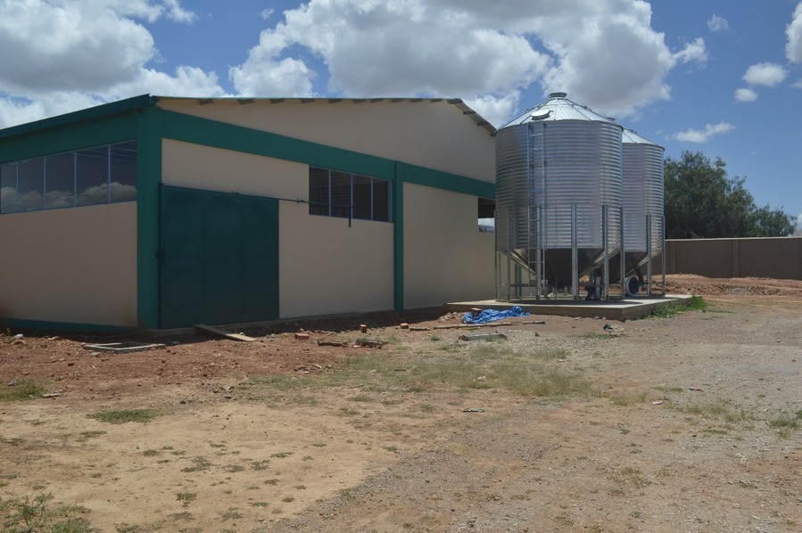 Toco se prepara para producir tallarín de maíz con planta industrial que será entregada en 2026