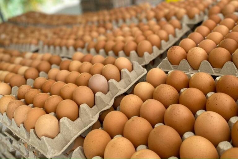 Armada Boliviana comisa diésel y huevos valuados en más de Bs. 46.500