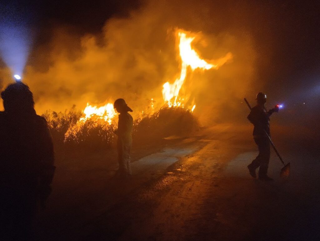 Armada Boliviana despliega más de 50 efectivos para sofocar incendio forestal en Puerto Suárez