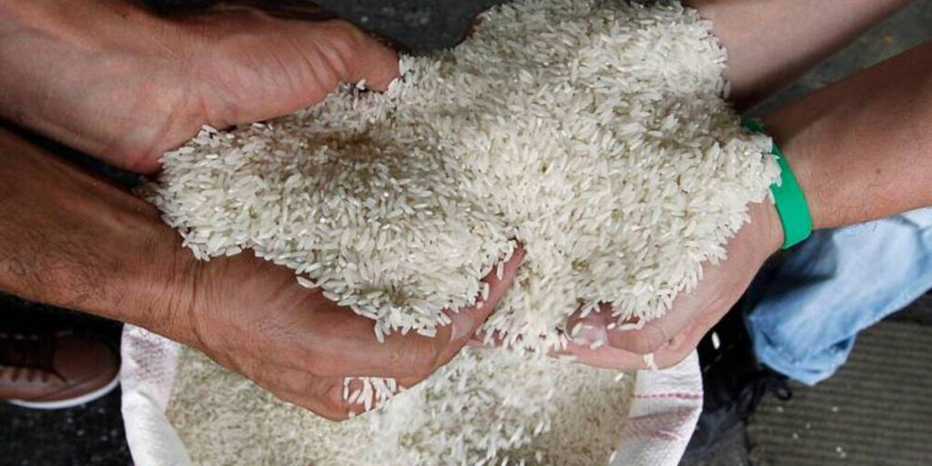 Arroz importado desde Argentina es rechazado por contaminación y falta de calidad