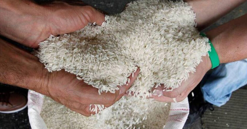 Arroz importado desde Argentina es rechazado por contaminación y falta de calidad