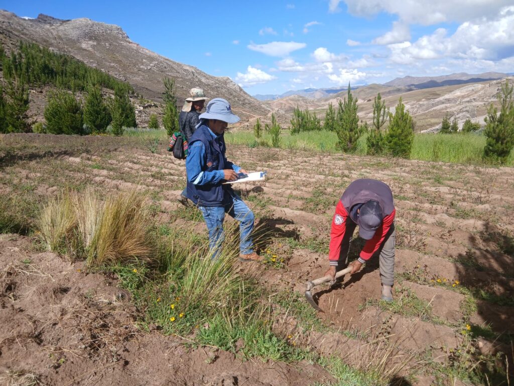 Heladas afectan a más de 237 mil productores y 145 mil hectáreas de cultivos en siete departamentos del país