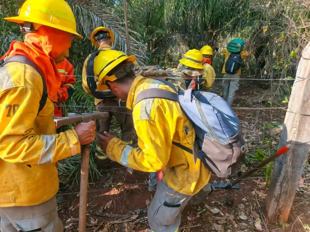 Efectivos navales controlan incendio forestal en Palmarito, Santa Cruz
