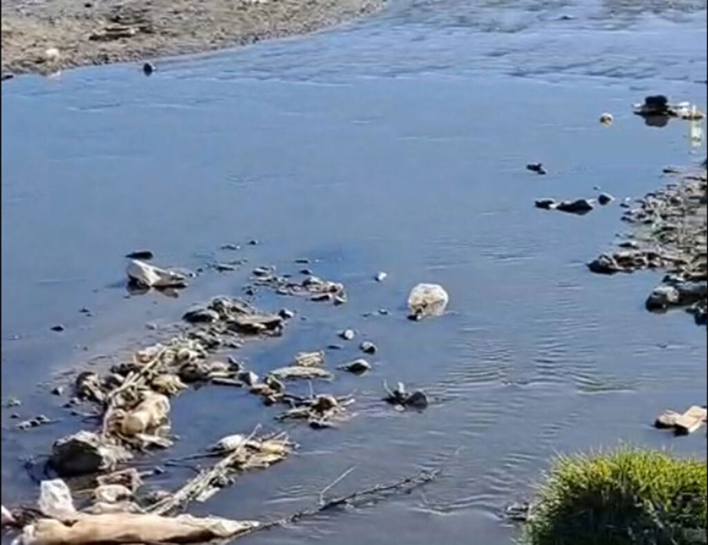 Alertan que el lago Titicaca enfrenta una grave crisis ambiental por contaminación y falta de conciencia ciudadana