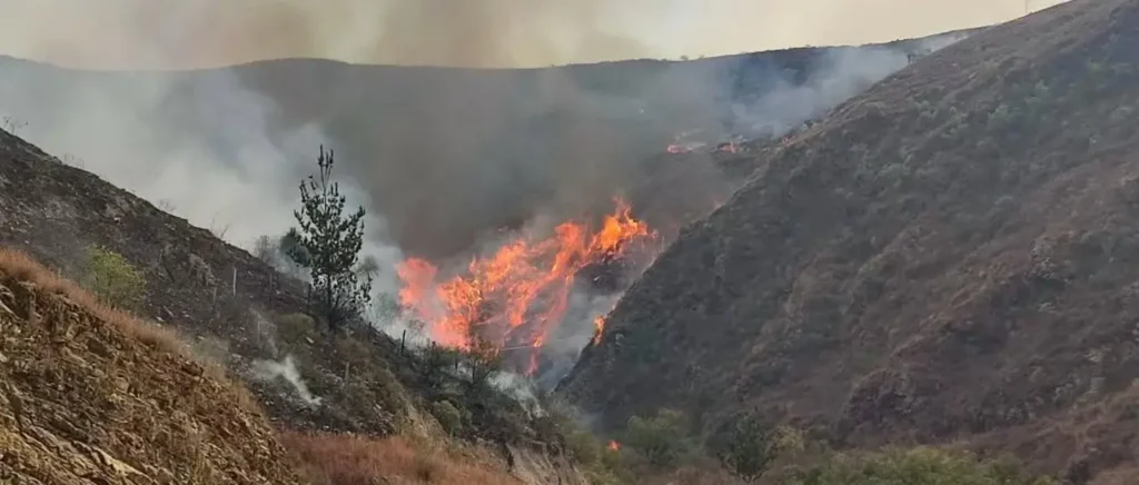 Fallece hombre con graves quemaduras por incendio forestal en Tarija