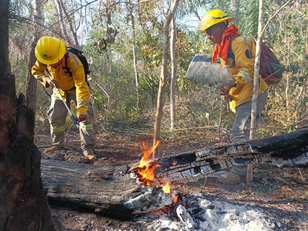 Focos de calor en Bolivia se reducen a 76.183 hasta septiembre, la cifra más baja en tres años