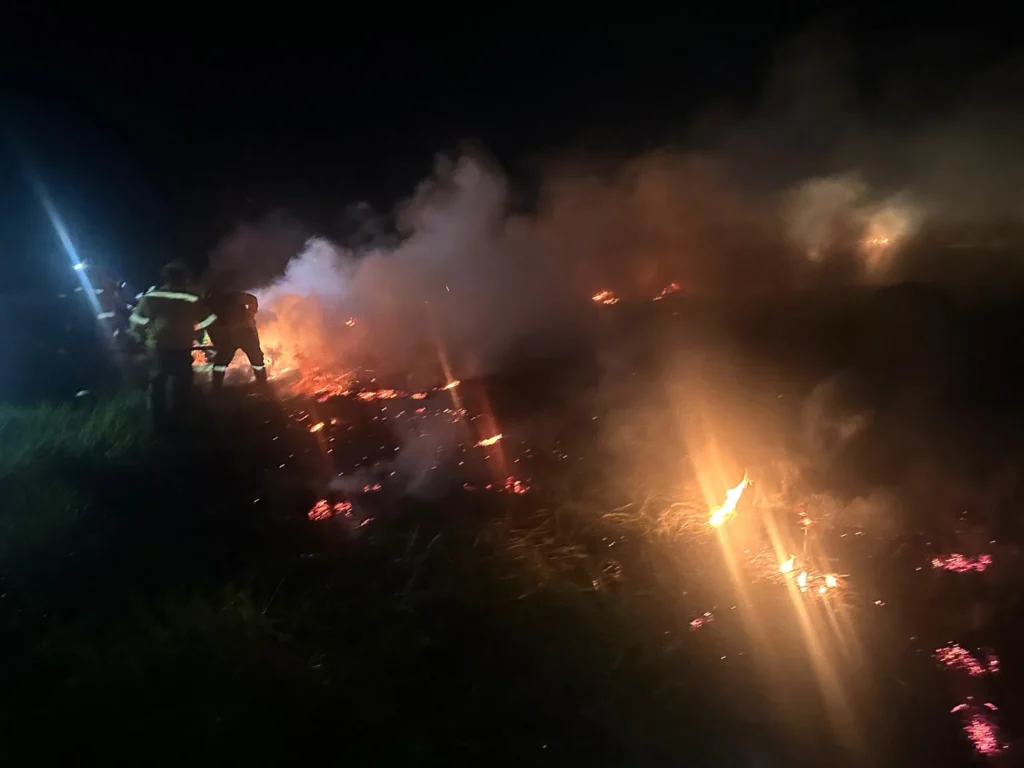 Santa Cruz se declara en emergencia por los incendios forestales