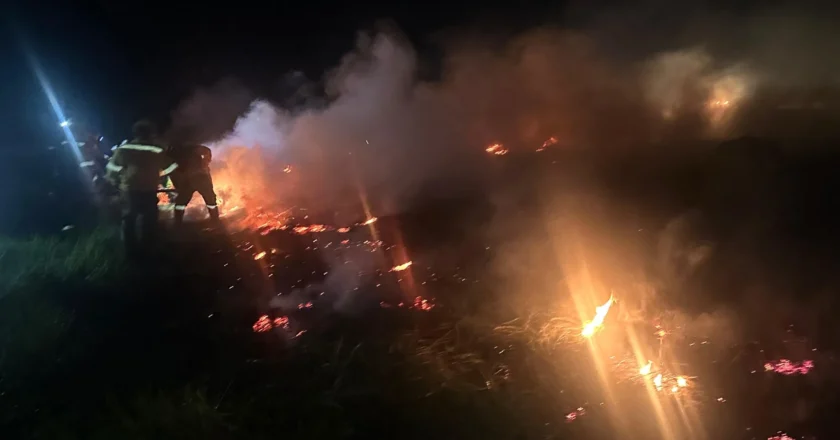 Santa Cruz se declara en emergencia por los incendios forestales