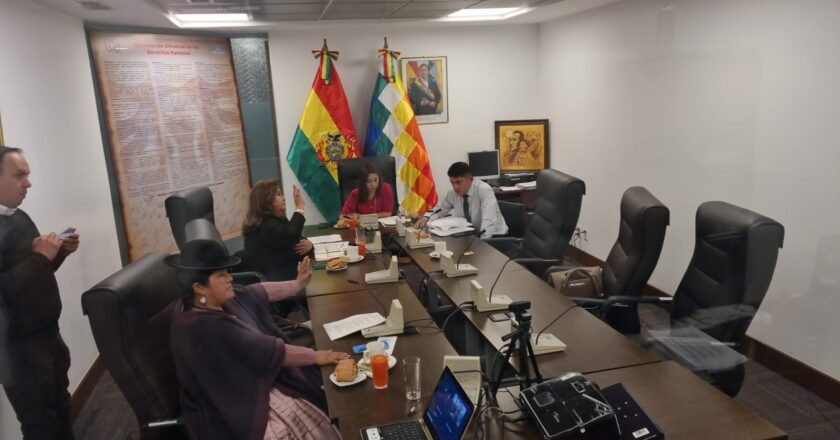 Diputados aprueban proyecto de ley en favor de huérfanos de feminicidio en Bolivia