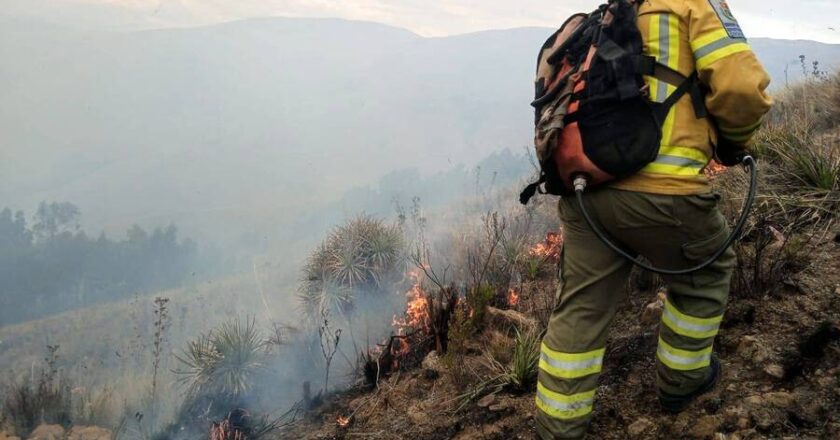 Gobierno confirma control total de los incendios forestales en Bolivia