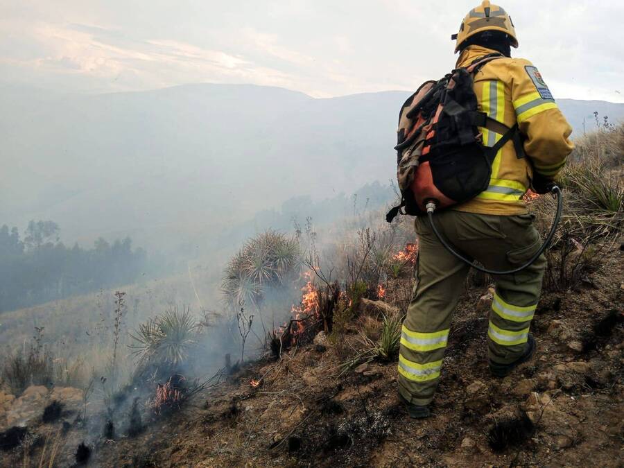 Gobierno confirma control total de los incendios forestales en Bolivia