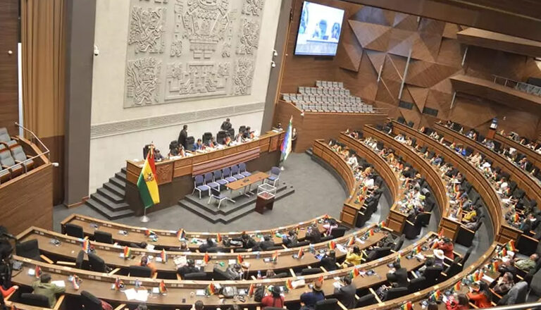 Nuevo Parlamento respaldará las primeras medidas económicas de Rodrigo Paz, anuncia diputada del PDC