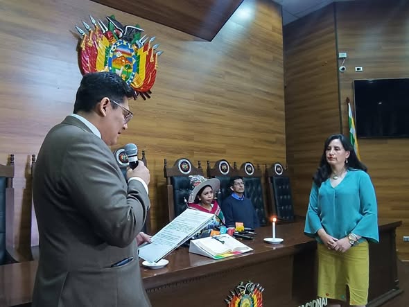 TCP, Paola Prudencio, Tribunal Constitucional, justicia, institucionalidad