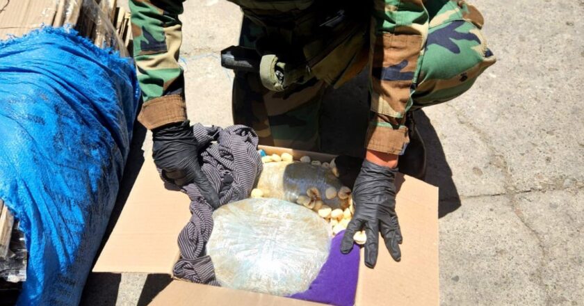 FELCN descubre marihuana camuflada en cajas de pasankalla en Cochabamba