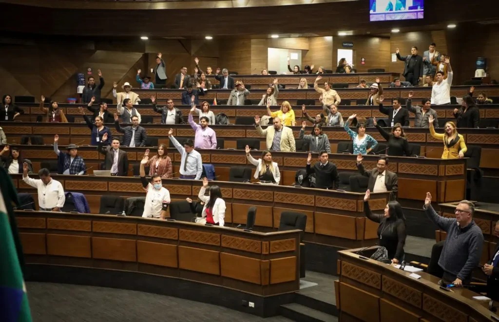 ALP aprueba por unanimidad la convocatoria para elegir a los nuevos vocales del TSE 2025–2031