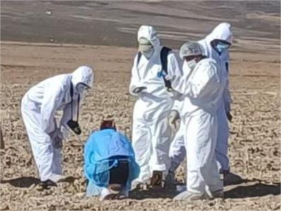 Fiscalía investiga hallazgo de restos óseos que corresponderían a una mujer en San Pedro de Challacollo