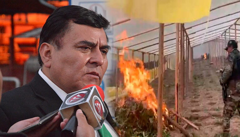 Oruro: Ministerio Público en coordinación con la GIOE destruye 20 viveros de marihuana y asesta duro golpe al narcotráfico