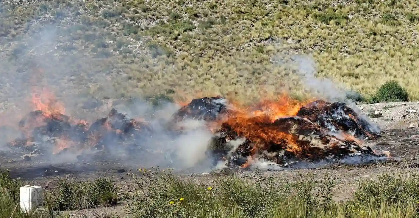 Fiscalía supervisa destrucción de más de tres toneladas de marihuana incautadas en Oruro
