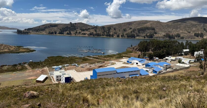 Fiscalía imputa a exgerente de EMAPA por irregularidades en planta piscícola del Lago Titicaca
