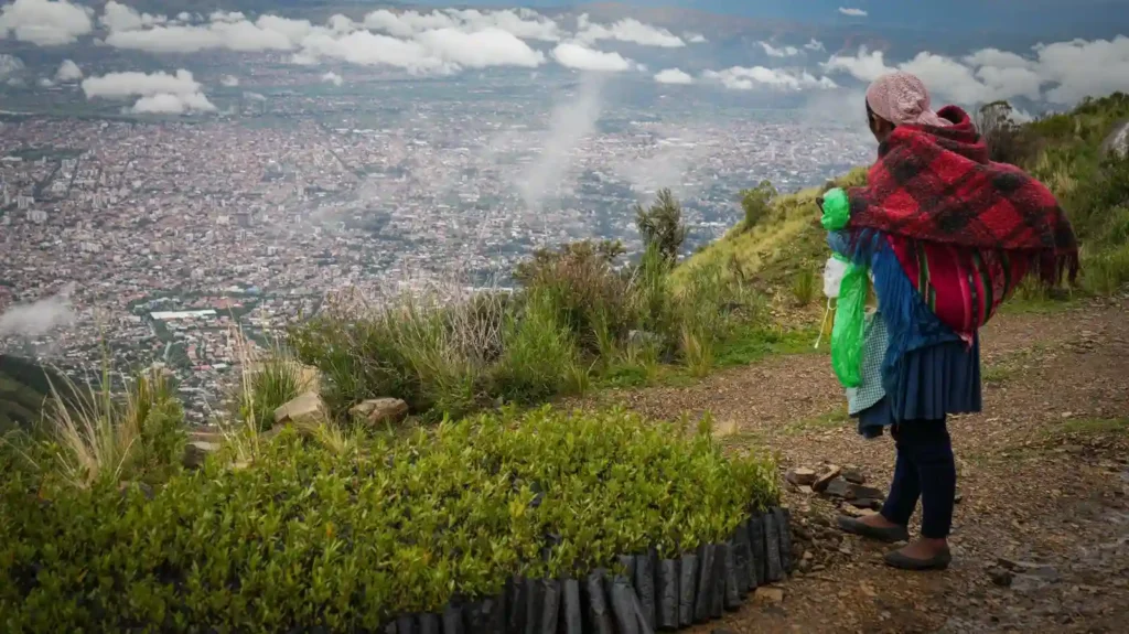 Cuenca Taquiña: proyecto de reforestación planta 25.000 árboles en su primer año