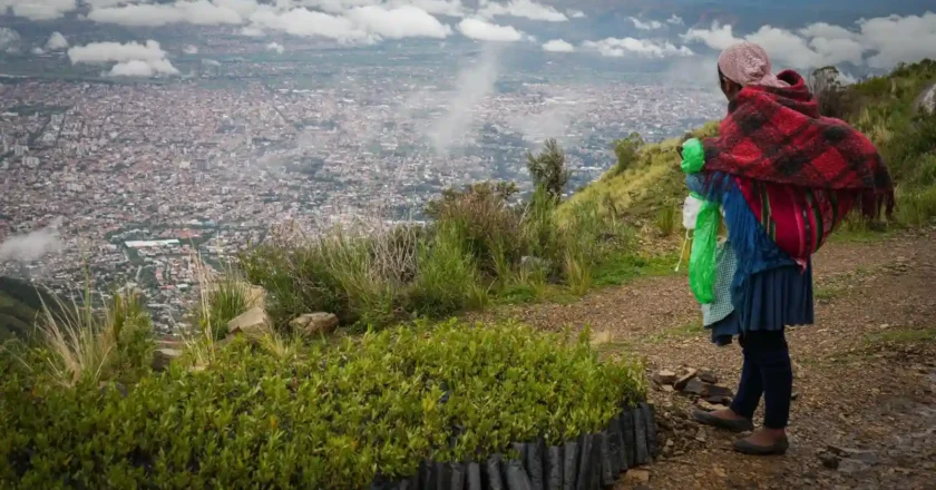 Cuenca Taquiña: proyecto de reforestación planta 25.000 árboles en su primer año