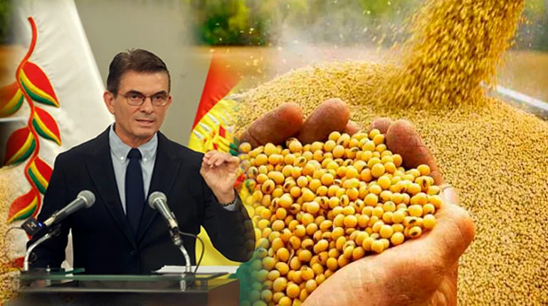 soya Bolivia, decreto 5591, productores, economía, ANAPO, gobierno