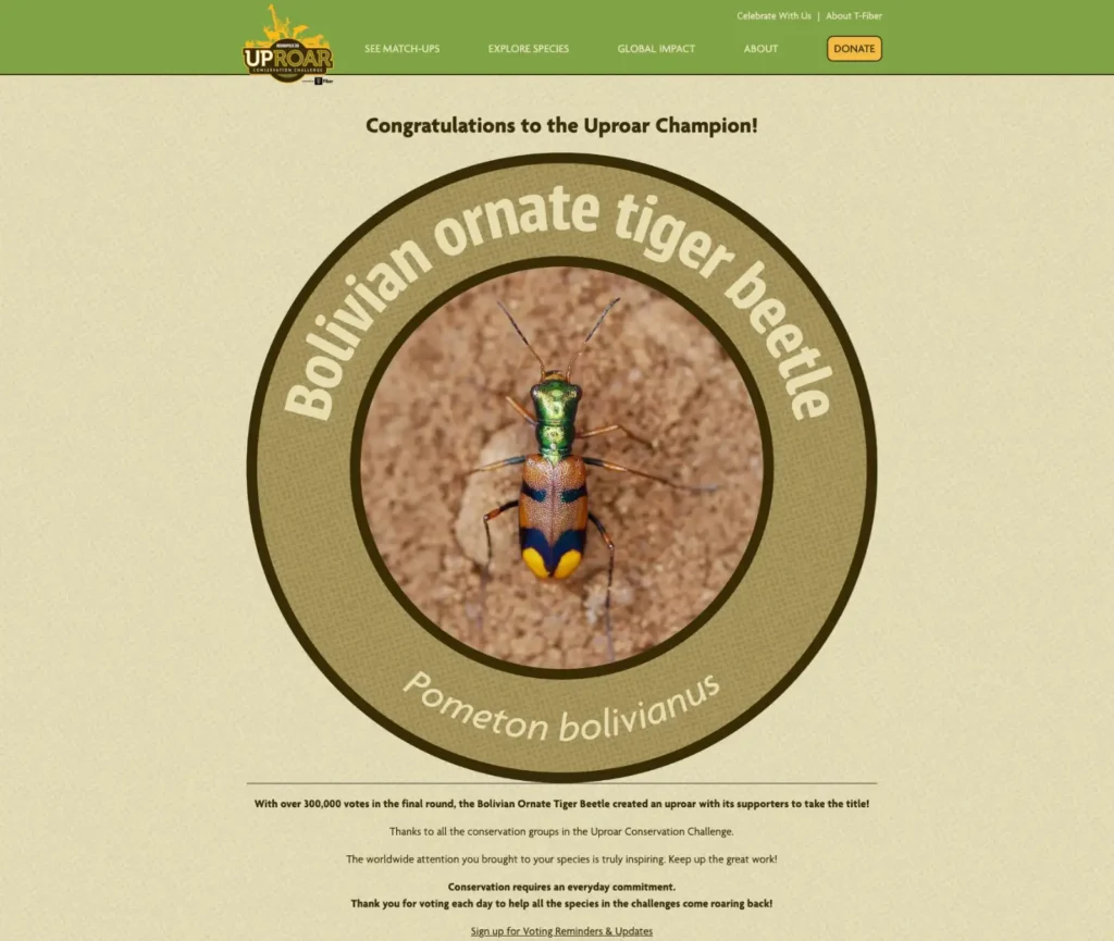 Escarabajo tigre boliviano gana $us 10.000 y destina premio a su conservación