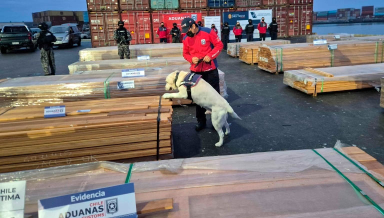 Exportadores piden resarcimiento por el caso de las “narcomaderas”